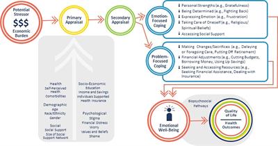 Expanding research on the impact of financial hardship on emotional well-being: guidance of diverse stakeholders to the Emotional Well-Being and Economic Burden of Disease (EMOT-ECON) Research Network